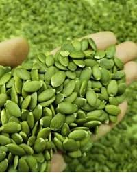 بذور اليقطين