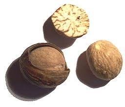 جوز الطيب